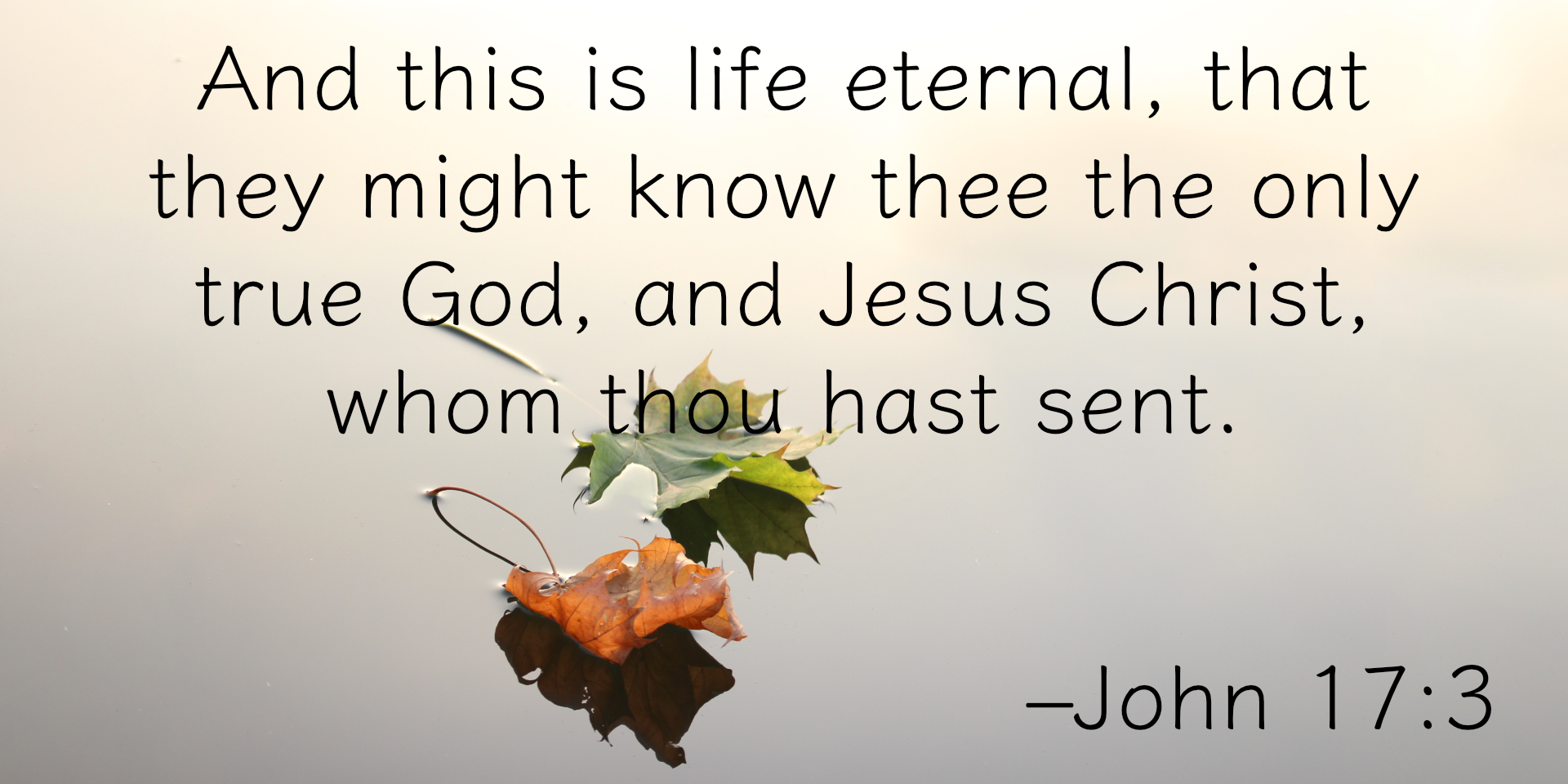 John 17.3